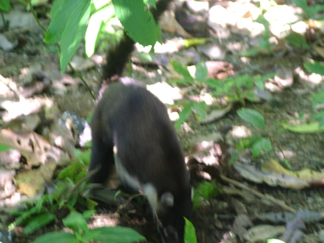 DSCF9134.JPG