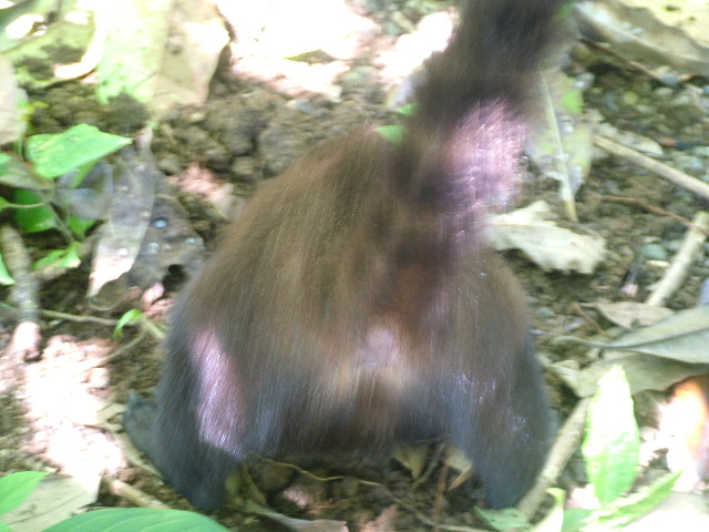 DSCF9138.JPG