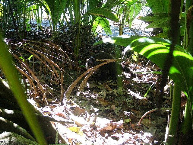 DSCF9140.JPG