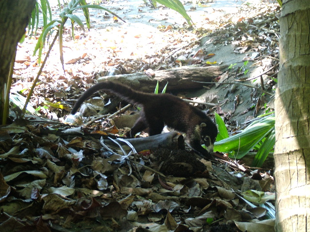 DSCF9141.JPG