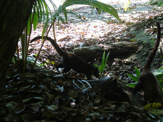 DSCF9142.JPG