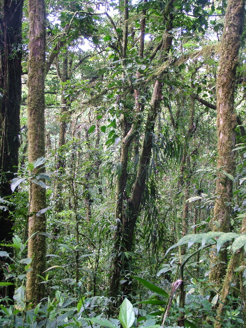 DSCF8643.JPG