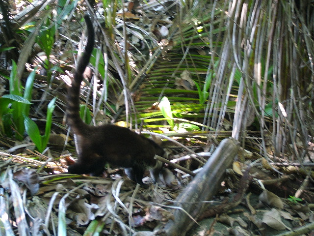 DSCF9143.JPG