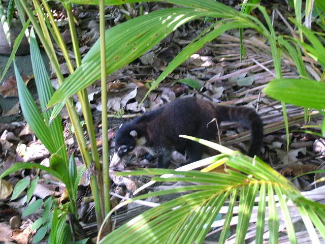 DSCF9144.JPG