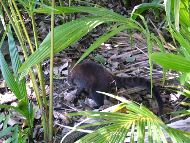DSCF9145.JPG