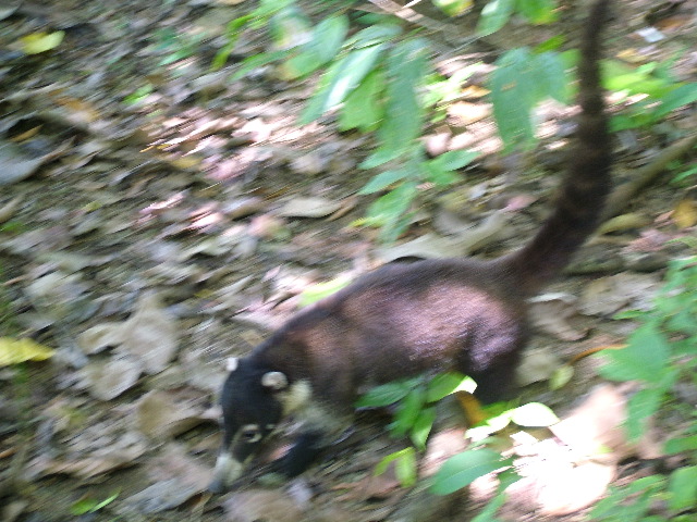 DSCF9146.JPG