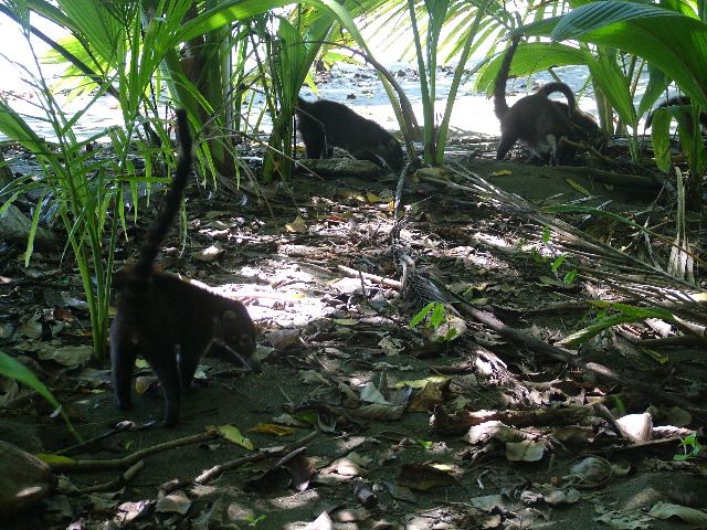 DSCF9147.JPG