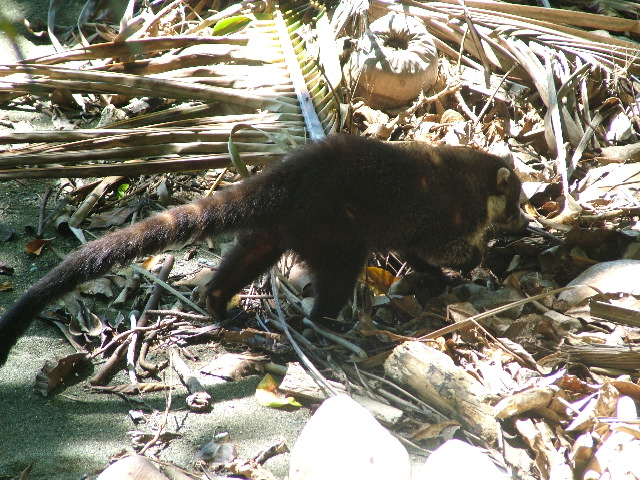 DSCF9150.JPG