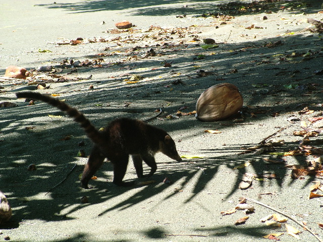 DSCF9151.JPG