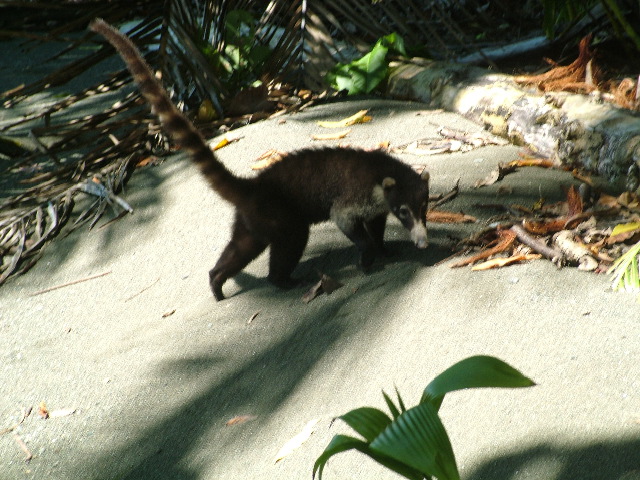 DSCF9152.JPG