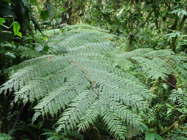DSCF8644.JPG
