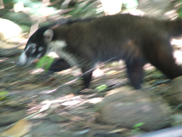 DSCF9153.JPG