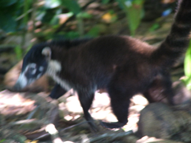 DSCF9154.JPG