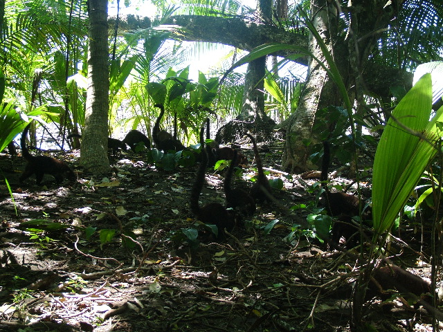 DSCF9155.JPG