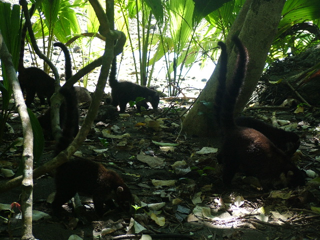 DSCF9159.JPG