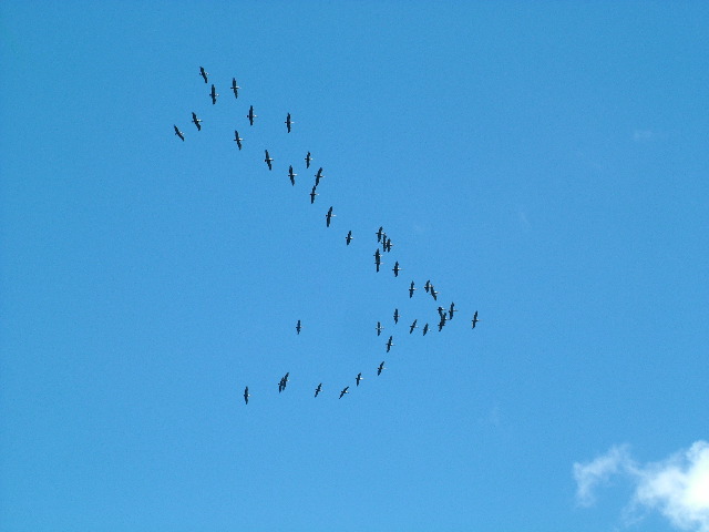 DSCF9161.JPG