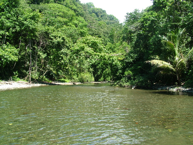 DSCF9162.JPG