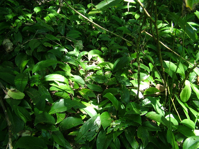 DSCF9165.JPG