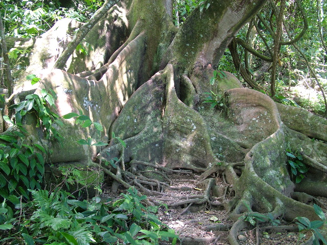 DSCF9166.JPG