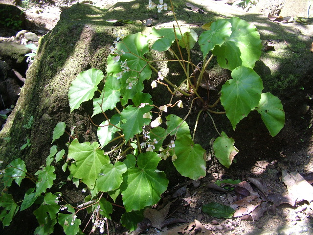 DSCF9167.JPG