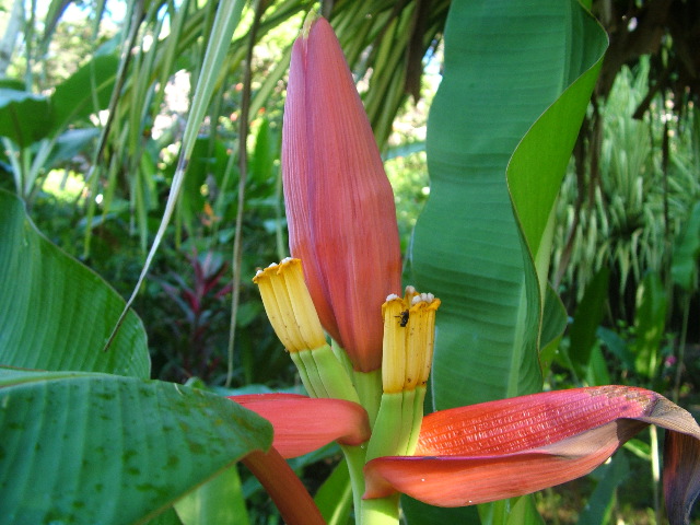DSCF9169.JPG