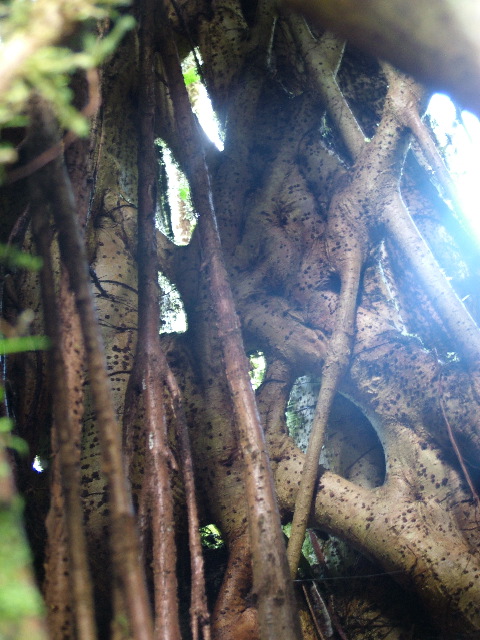 DSCF8646.JPG