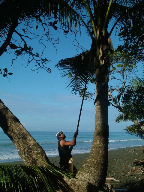 DSCF9175.JPG