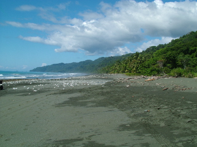 DSCF9182.JPG