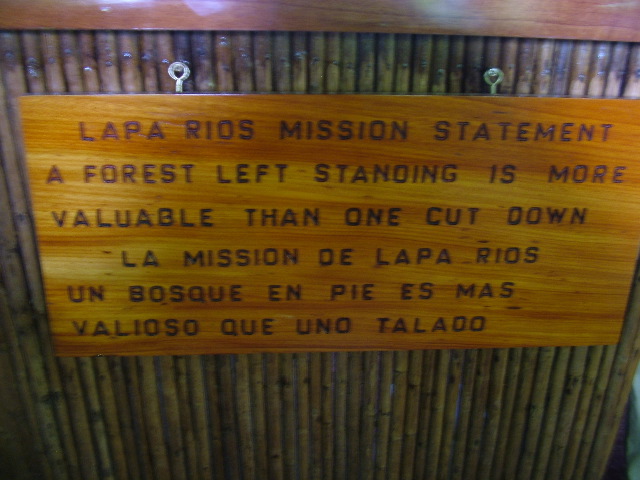 DSCF9184.JPG