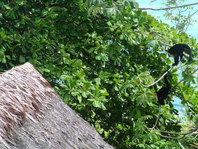 DSCF9187.JPG