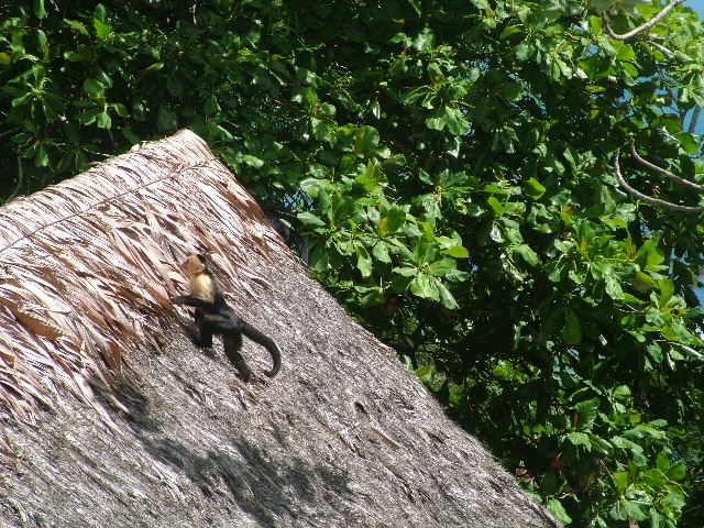 DSCF9188.JPG