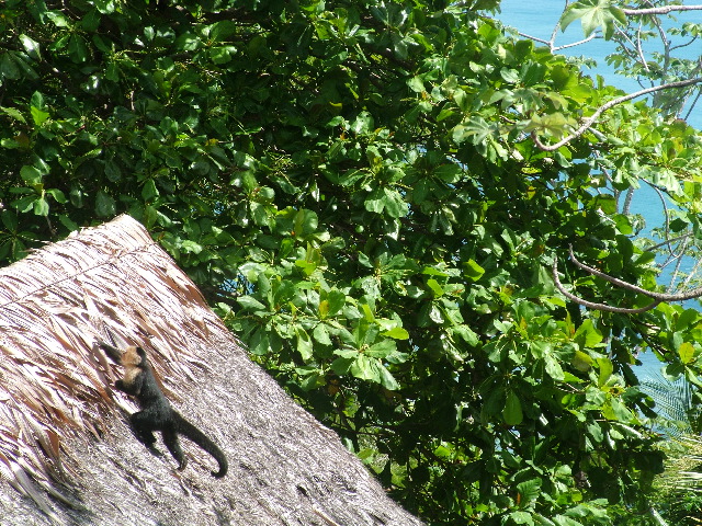 DSCF9189.JPG