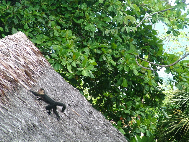 DSCF9191.JPG