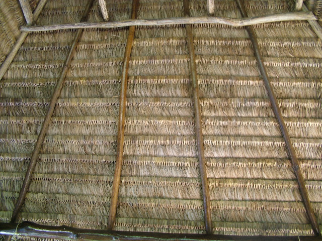 DSCF9197.JPG