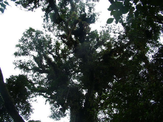 DSCF8649.JPG