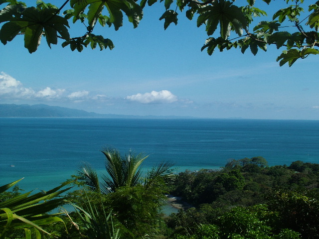 DSCF9204.JPG