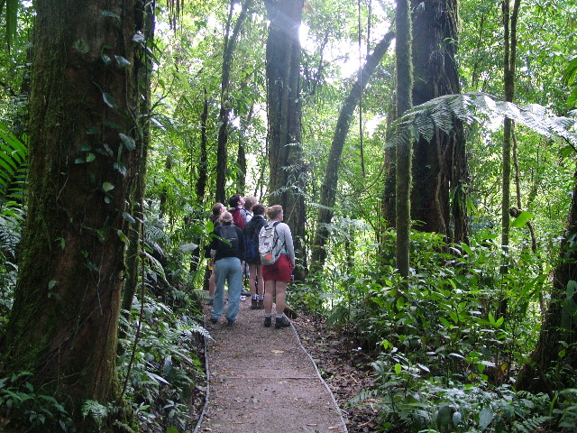 DSCF8650.JPG