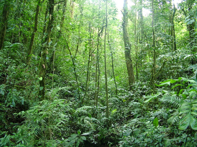 DSCF8652.JPG
