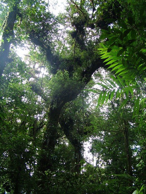 DSCF8653.JPG