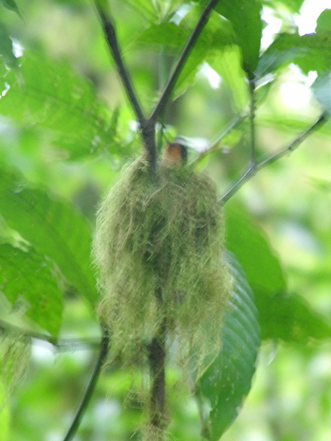 DSCF8654.JPG