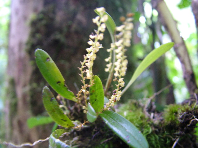DSCF8655.JPG