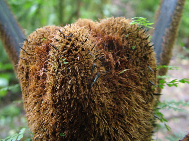 DSCF8656.JPG