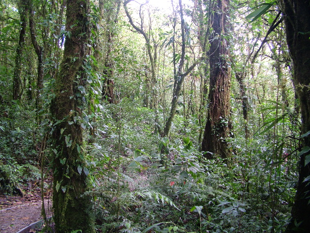 DSCF8657.JPG
