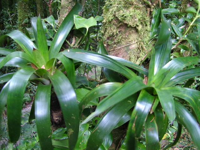 DSCF8658.JPG