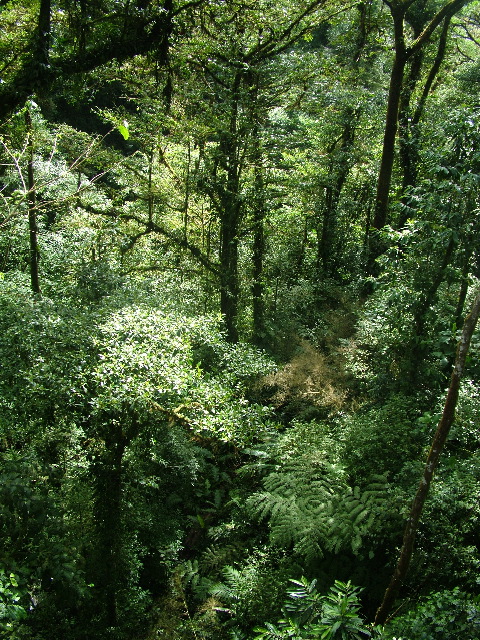 DSCF8660.JPG