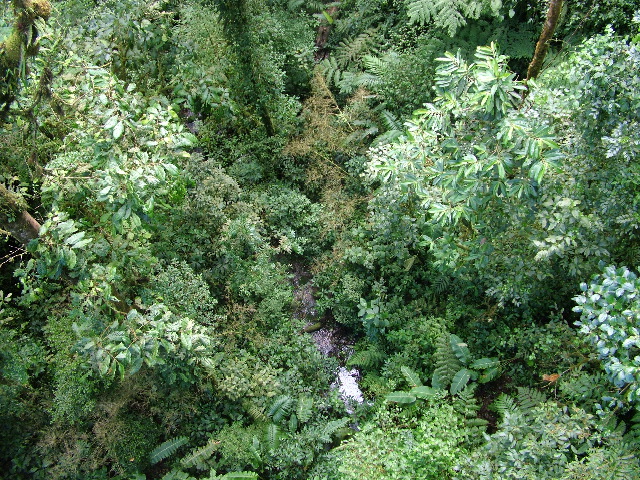 DSCF8661.JPG
