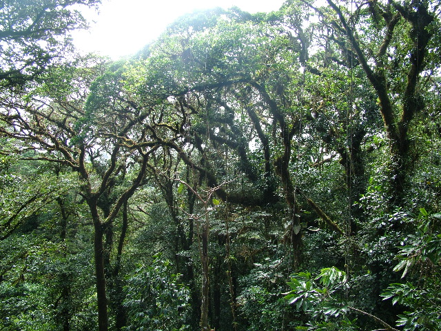 DSCF8662.JPG