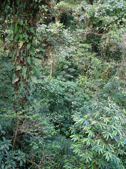 DSCF8663.JPG