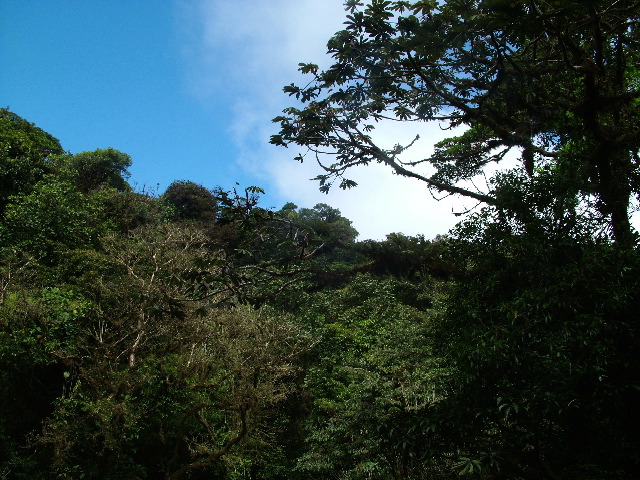 DSCF8664.JPG
