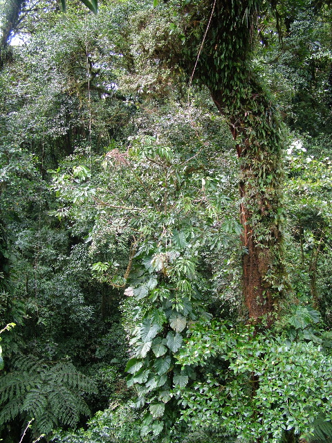 DSCF8665.JPG